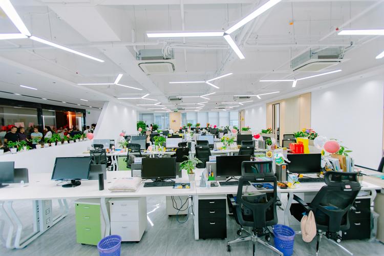 专业启航，共创未来 —— 张伟公司商务信息咨询服务介绍